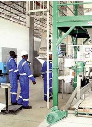 Produção de fertilizantes NPK arranca em Abril no Huambo