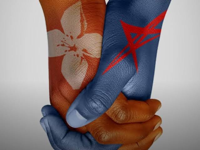 Imagem de BFA e ENSA firmam parceria estratégica para comercialização de seguros