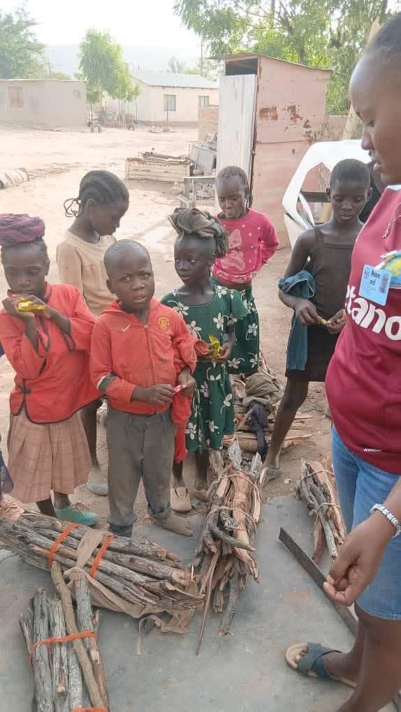 Imagem de Crianças Angolanas Perambulam por Opuwo Vendendo Lenha e Mendigando Enquanto as Dificuldades Transfronteiriças se Aprofundam