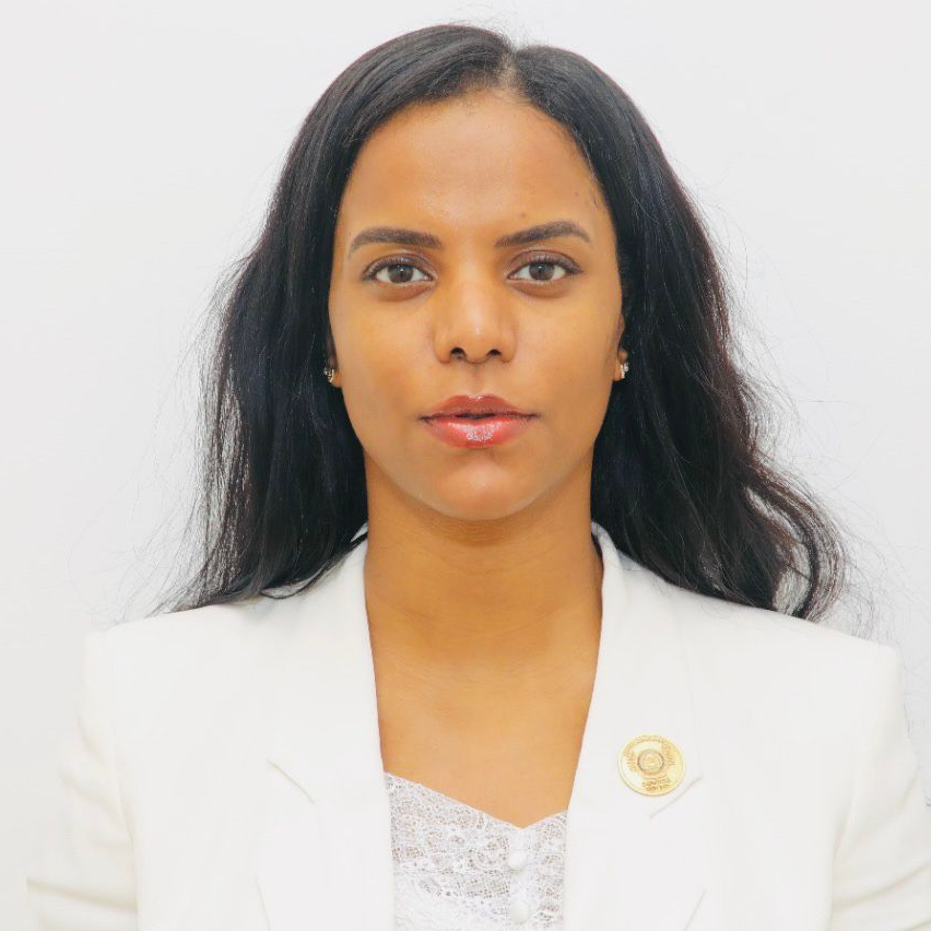 Imagem de Deputada Elizandra Gourgel Wassuca é Eleita Deputada do Ano