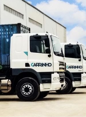 Carrinho suspende definitivamente a importação de carne de porco congelada