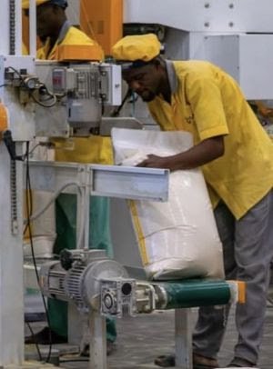 Imagem de Apenas a Industrialização Pode Salvar Angola